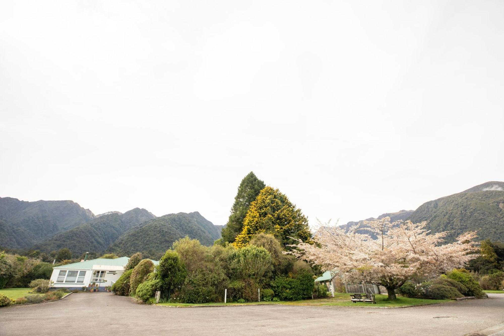 Rainforest Motel Fox Glacier Esterno foto